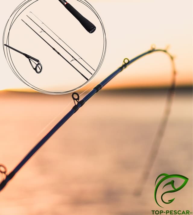 Pescuitul – pasiune, relaxare și precizie. Cum alegi echipamentul potrivit pentru crap și feeder