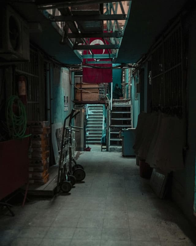 Pași pentru igienizarea pivniței înainte de depozitarea proviziilor