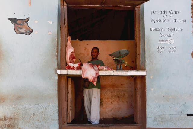 Cum organizezi sacrificarea porcului după tradițiile românești