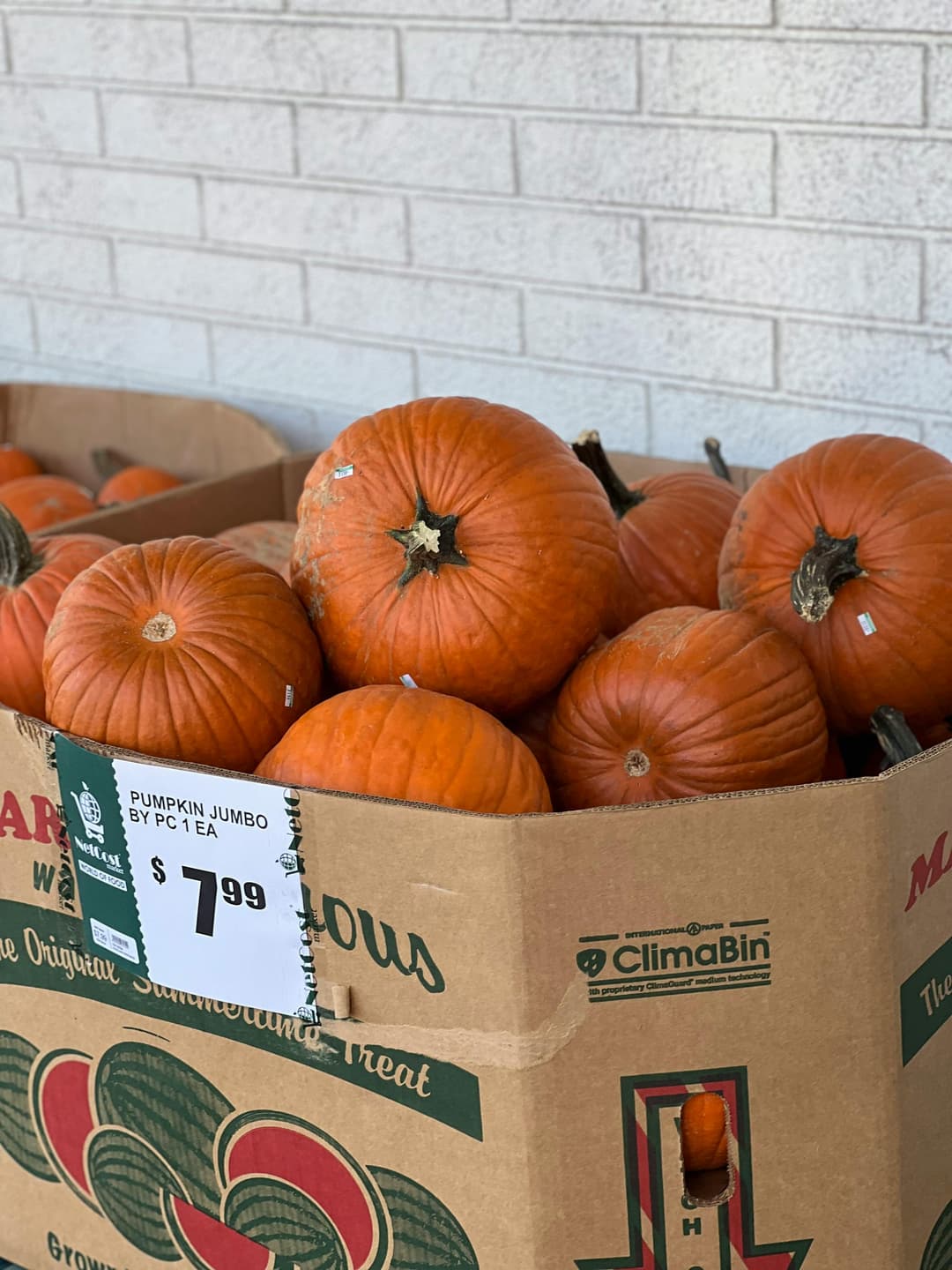 Ghid pentru recoltarea dovleacului și păstrarea lui corectă