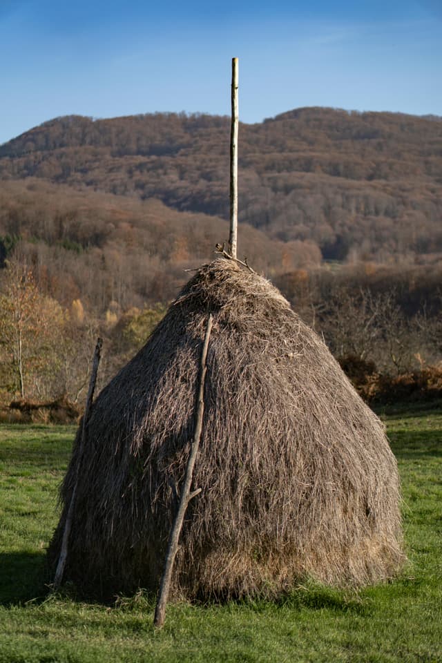 Cum sărbătoreau strămoșii români sfârșitul recoltei