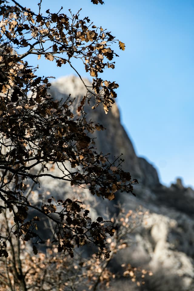 Trucuri de irigare pentru lunile de toamnă secetoasă