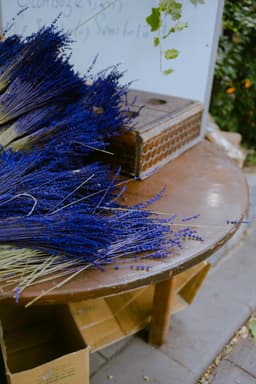 5 plante aromatice care rezistă toamna târziu în grădină