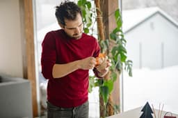 Îngrijirea plantelor de interior pe timp de iarnă