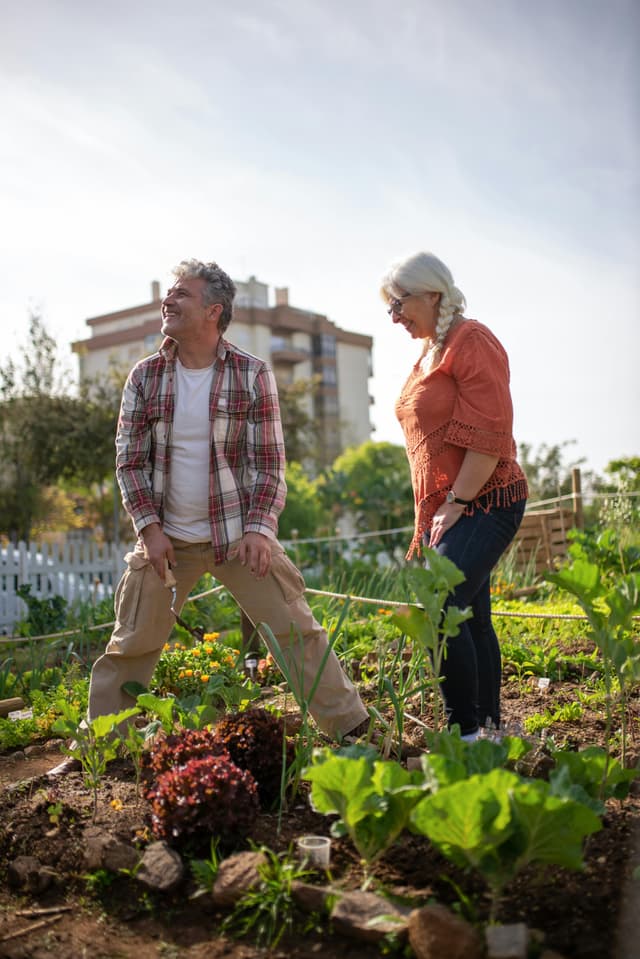 Legume care merg bine plantate împreună