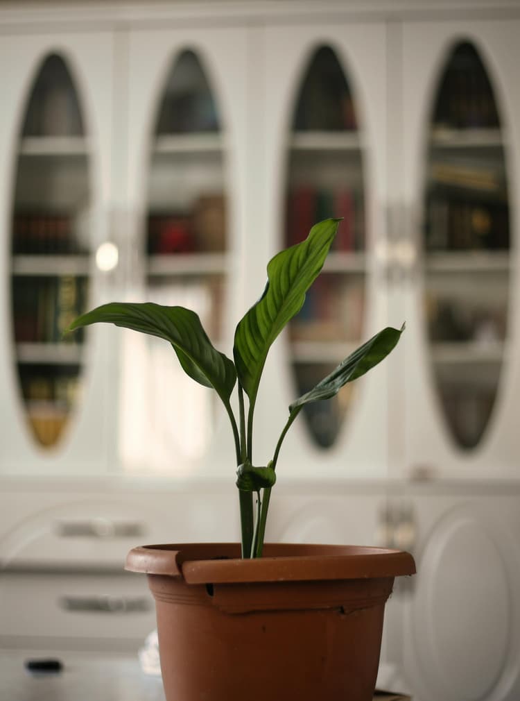 Cum repari o sobă de teracotă fisurată